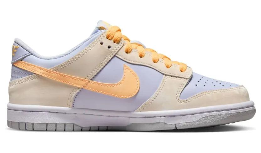 nike-dunk FB9109-100