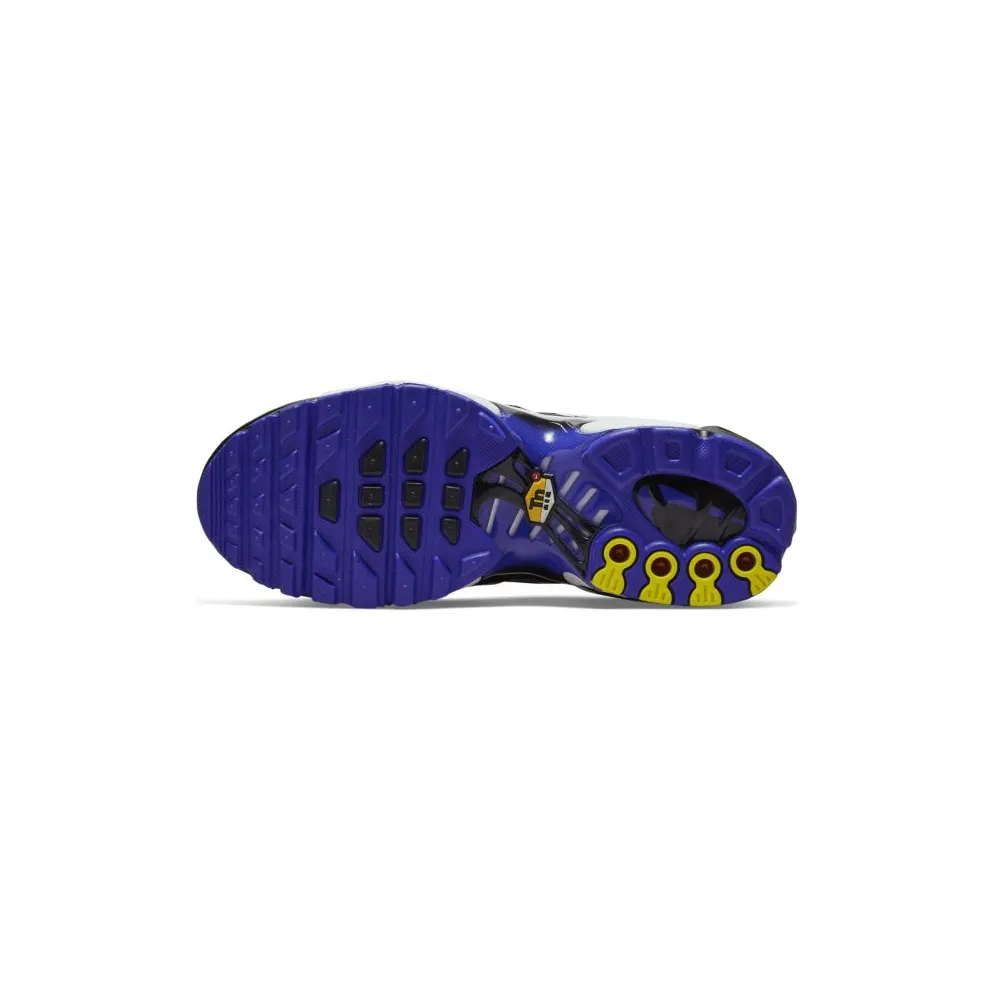 Nike Air Max Plus Persian Violet (GS) (CD0609-104)