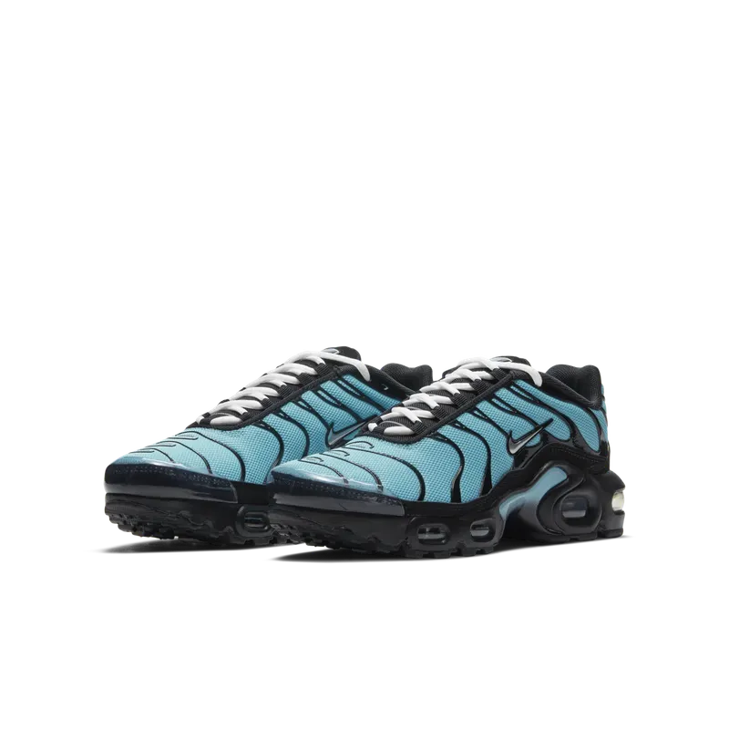 Nike Air Max Plus Older Kids’ Blue (CD0609-405)
