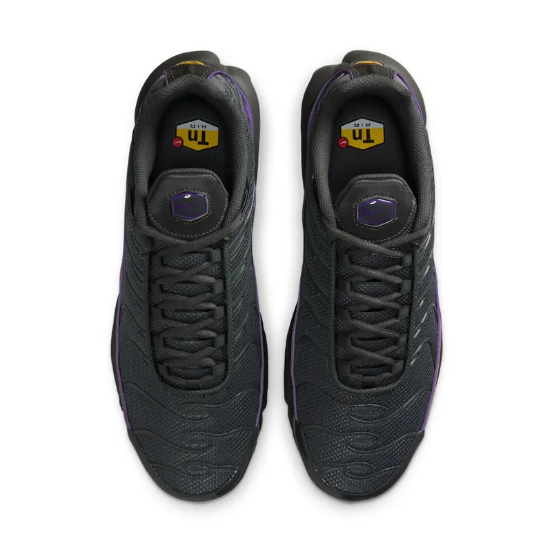 Nike Air Max Plus OG Iron Grey Wild Grape (HV8066-001)