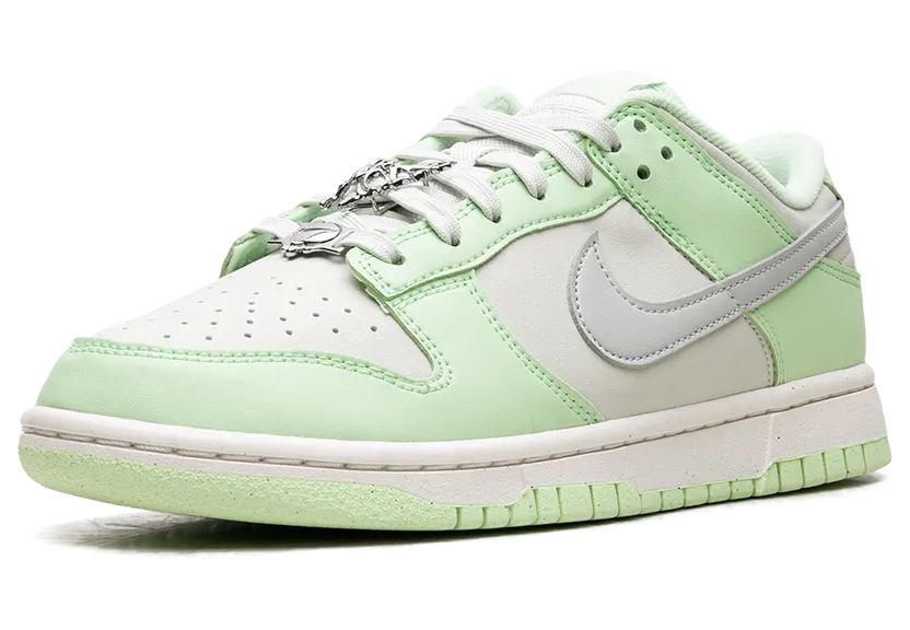 nike-dunk FN6344-001