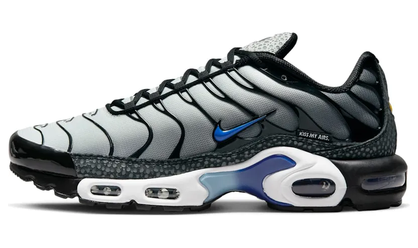 nike-air-max FD9755-001