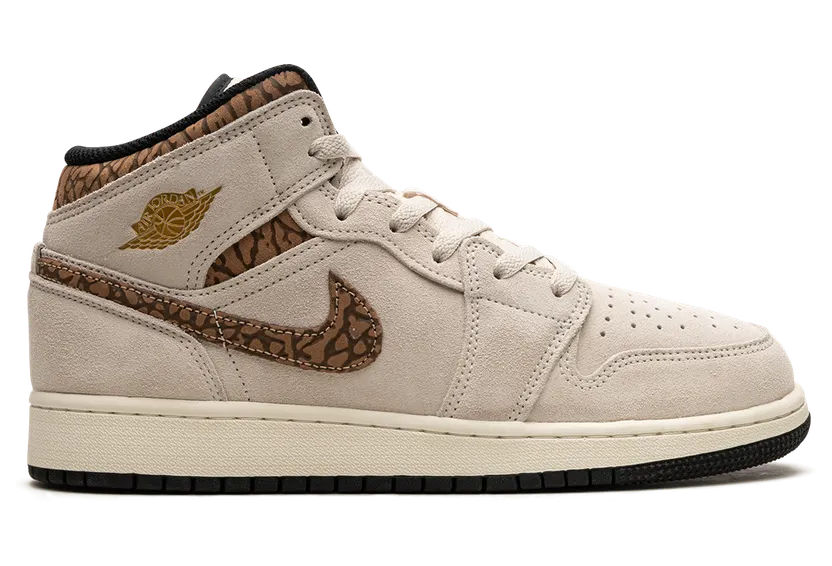 air-jordan-1 DZ5369-102