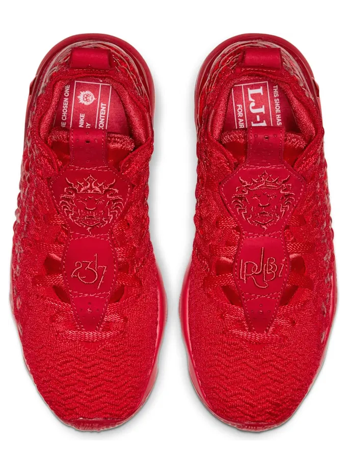 nike-lebron-17 BQ5594-600