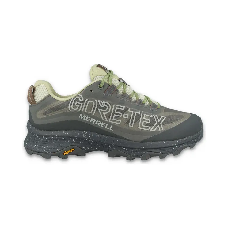 Merrell MOAB Speed SE GORE-TEX “Gray” (J006559)
