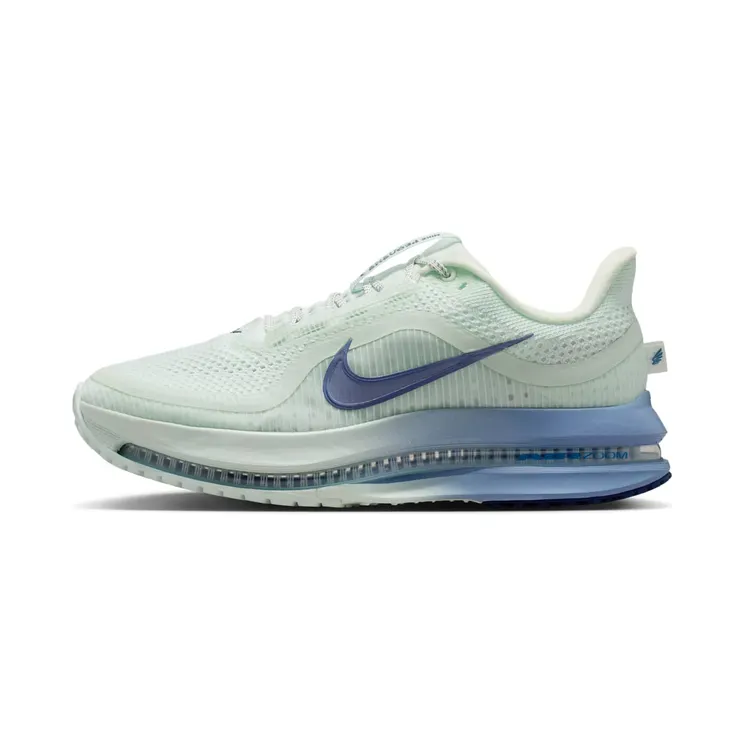 Nike Pegasus “Barely Green / Work Blue / Football Grey / Blue Void” (HQ2593-301)