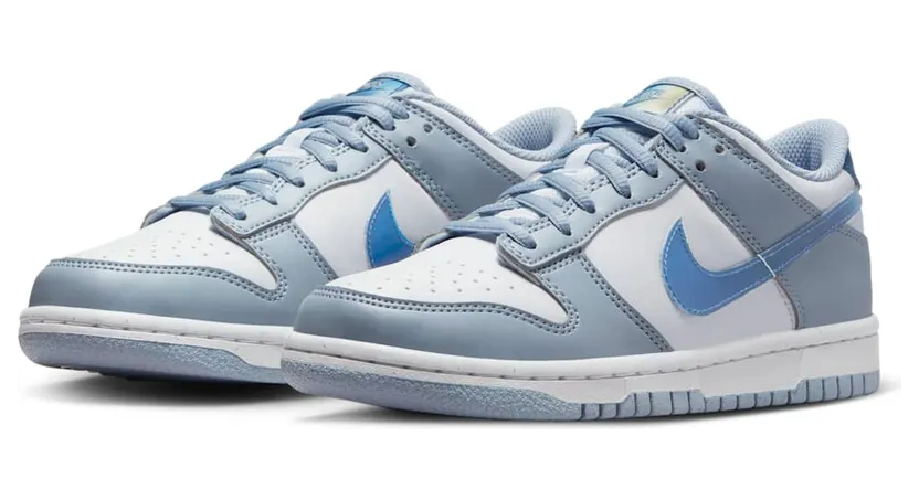 nike-dunk FJ4668-400
