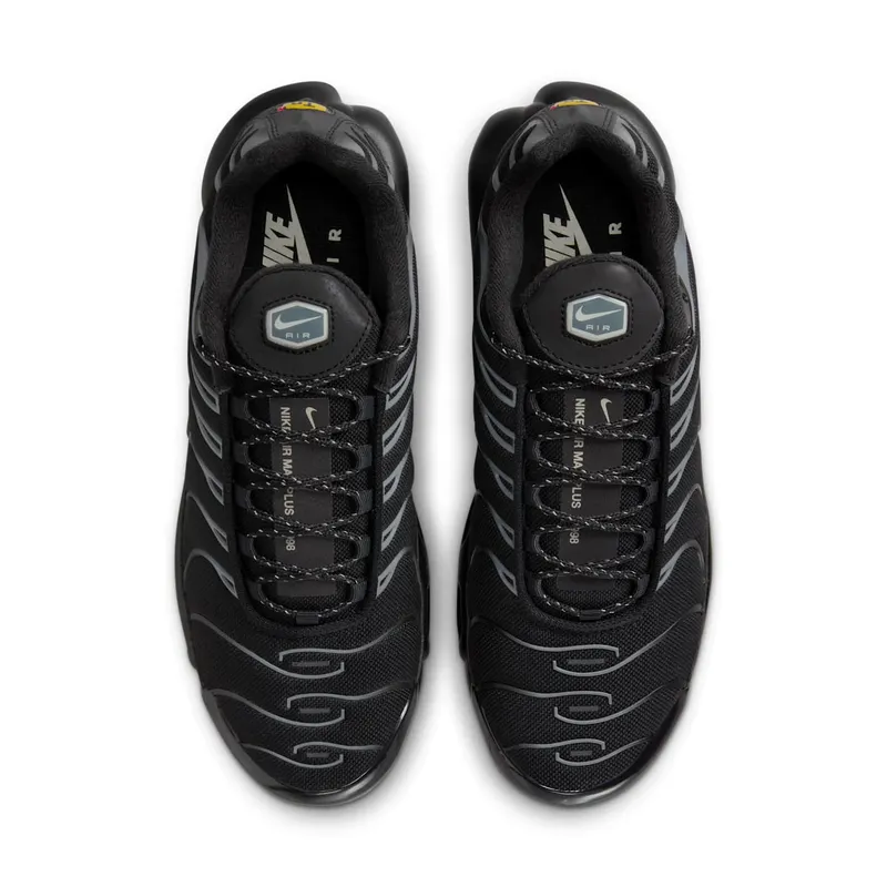 Nike Air Max Plus Black Gum Light Brown (FV0385-001)