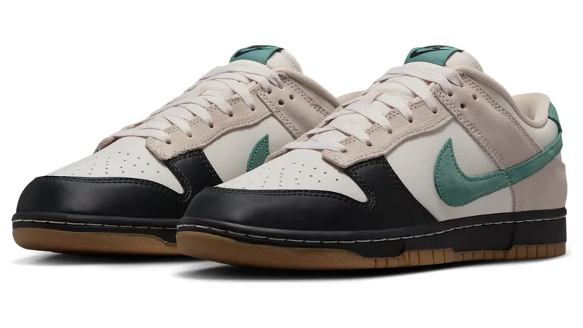 nike-dunk HQ3483-104