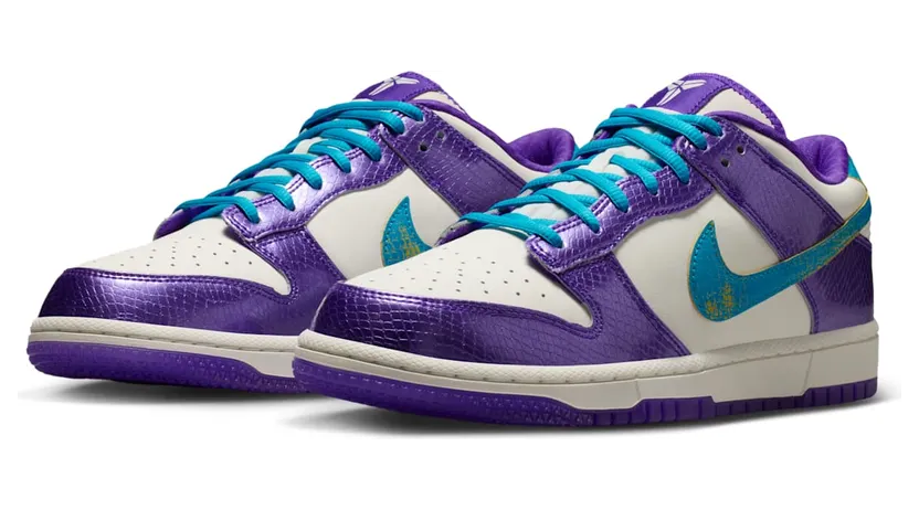 nike-dunk IM0586-500
