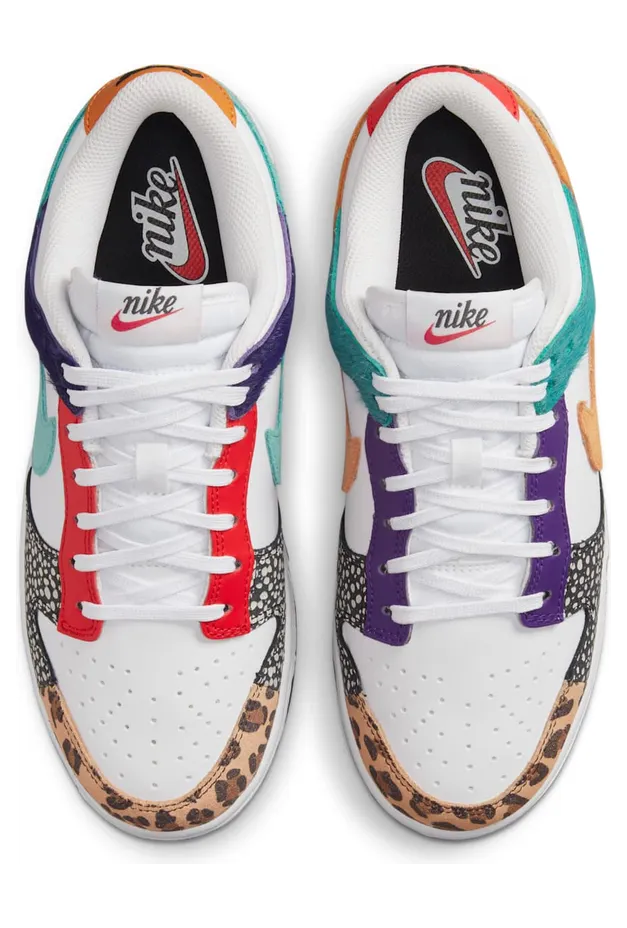 nike-dunk DN3866-100