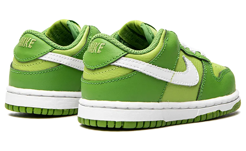 nike-dunk DH9761-301