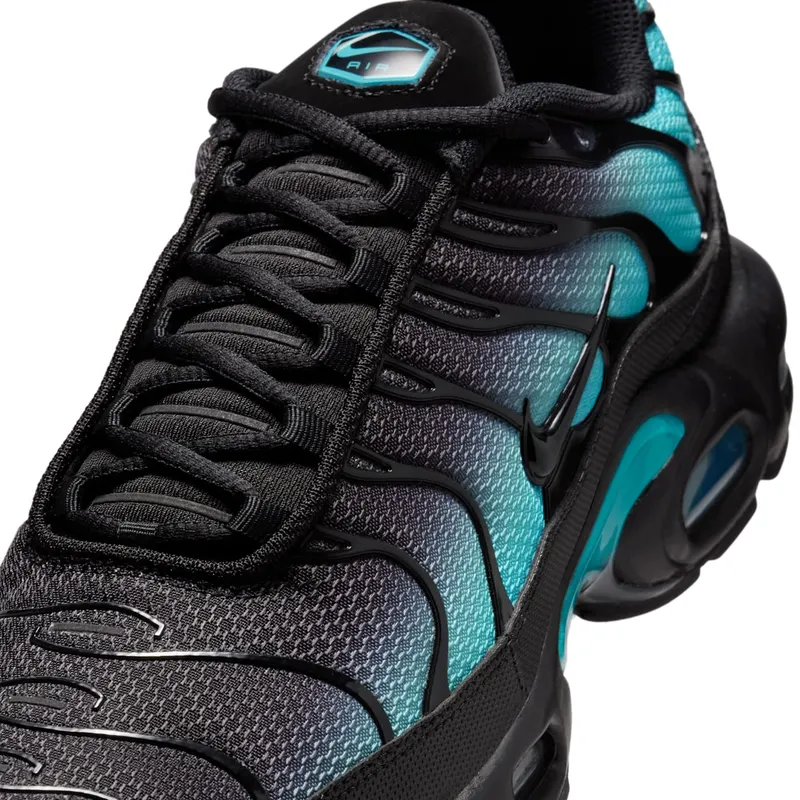 Nike Air Max Plus Black Dusty Cactus (DM0032-016)