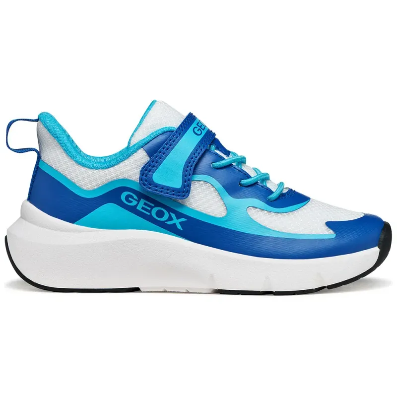GEOX sneaker Blue / Aqua / White (J65P7F01454-C1343)