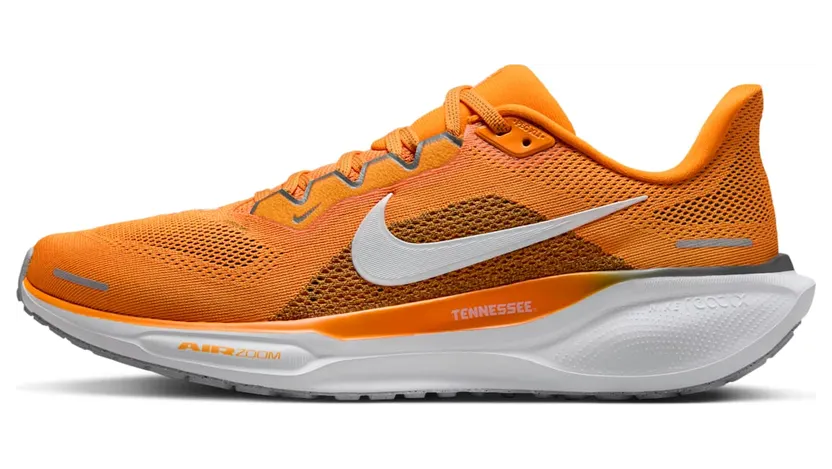 Nike Air Zoom FZ5144-800