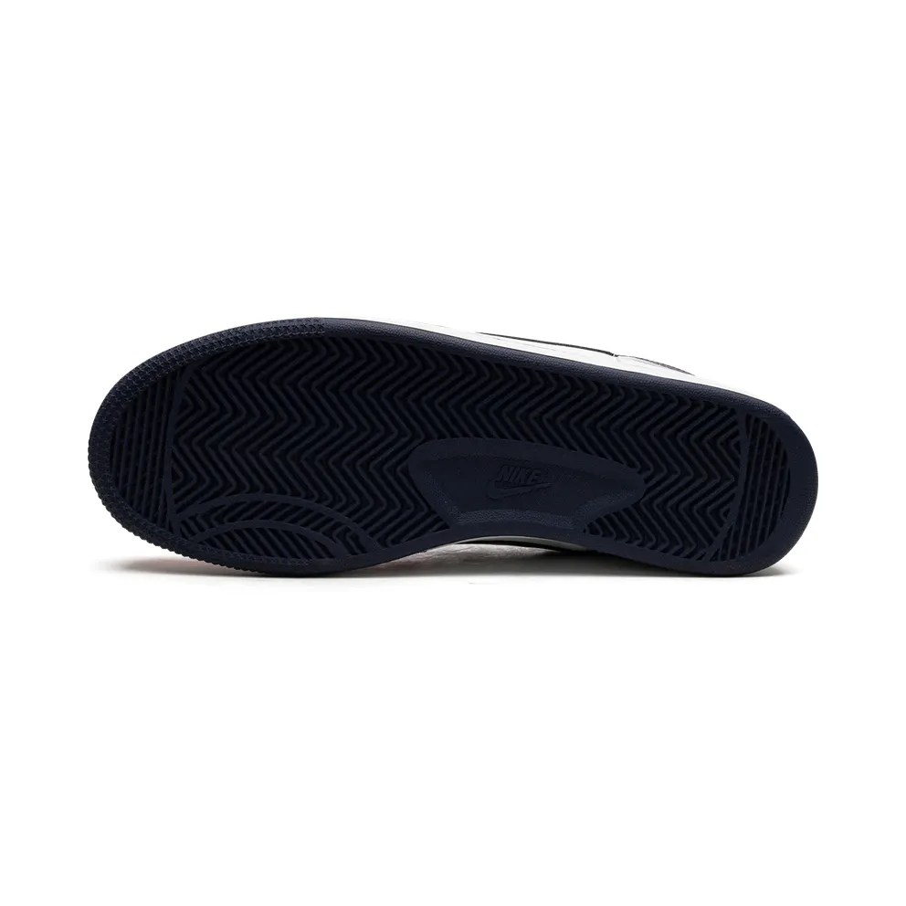 Nike Terminator Low “Olympics” (309436-142)
