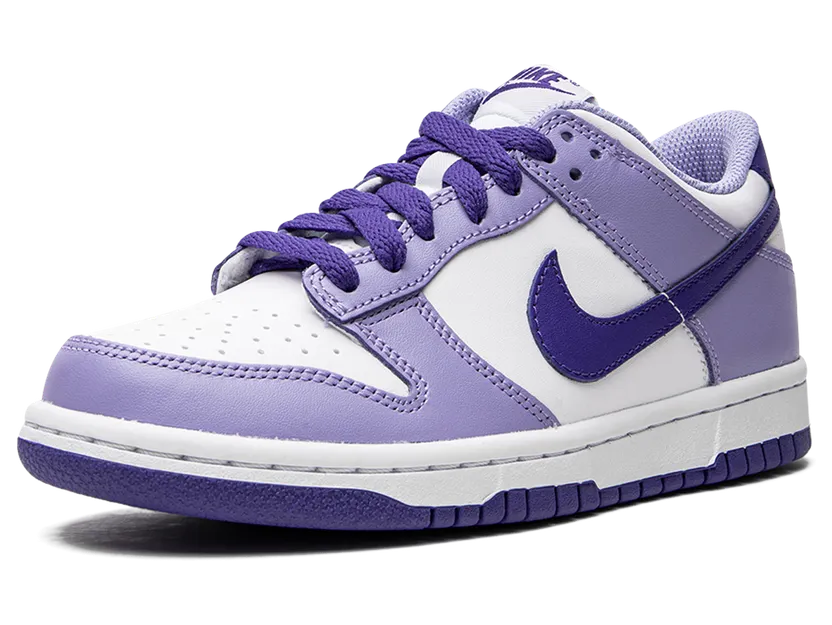 nike-dunk DZ4456-100