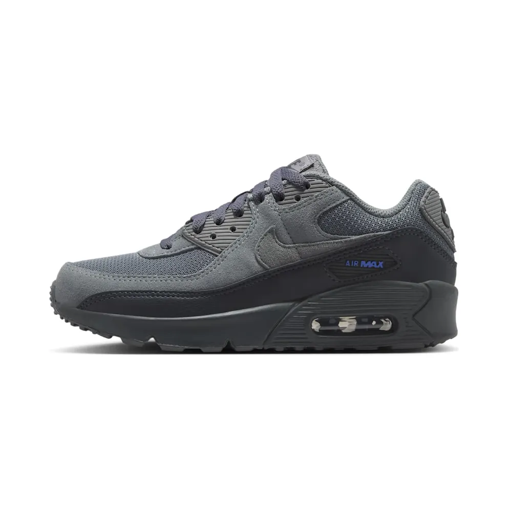 Nike Air Max 90 Smoke Grey/Dark Smoke Grey/Blue Crystal/Iron Grey (IR5583-001)