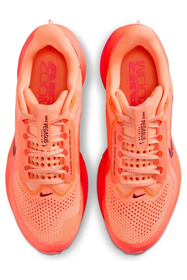 nike-air-pegasus HQ2593-802