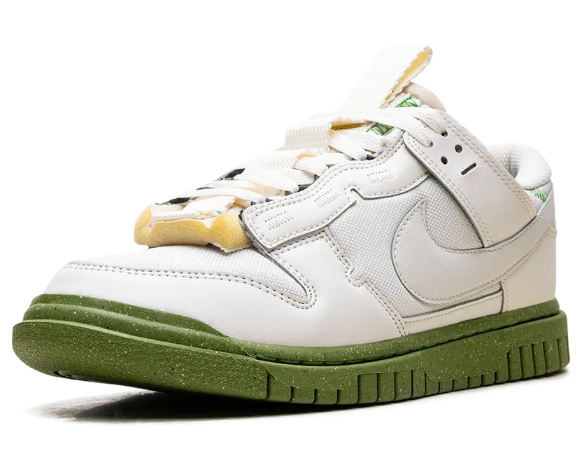 nike-dunk FJ4192-001