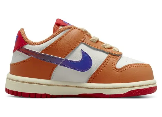 nike-dunk DH9761-101