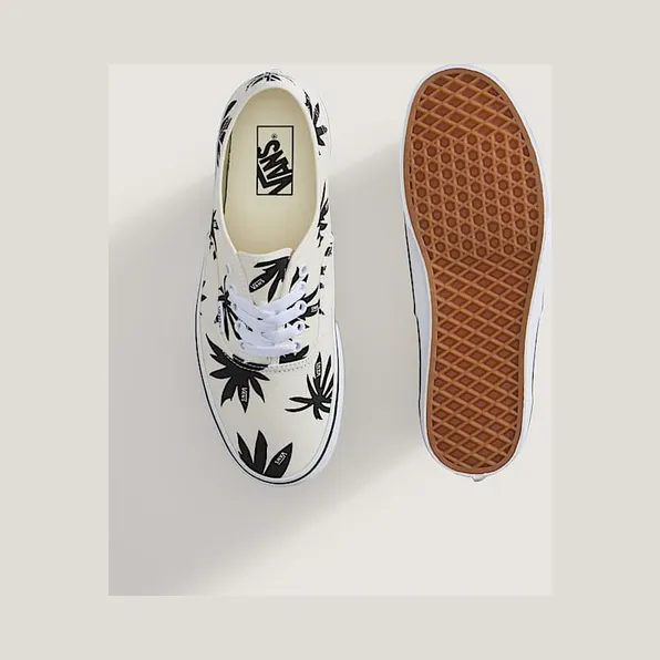 vans-authentic VN000Z75KIG