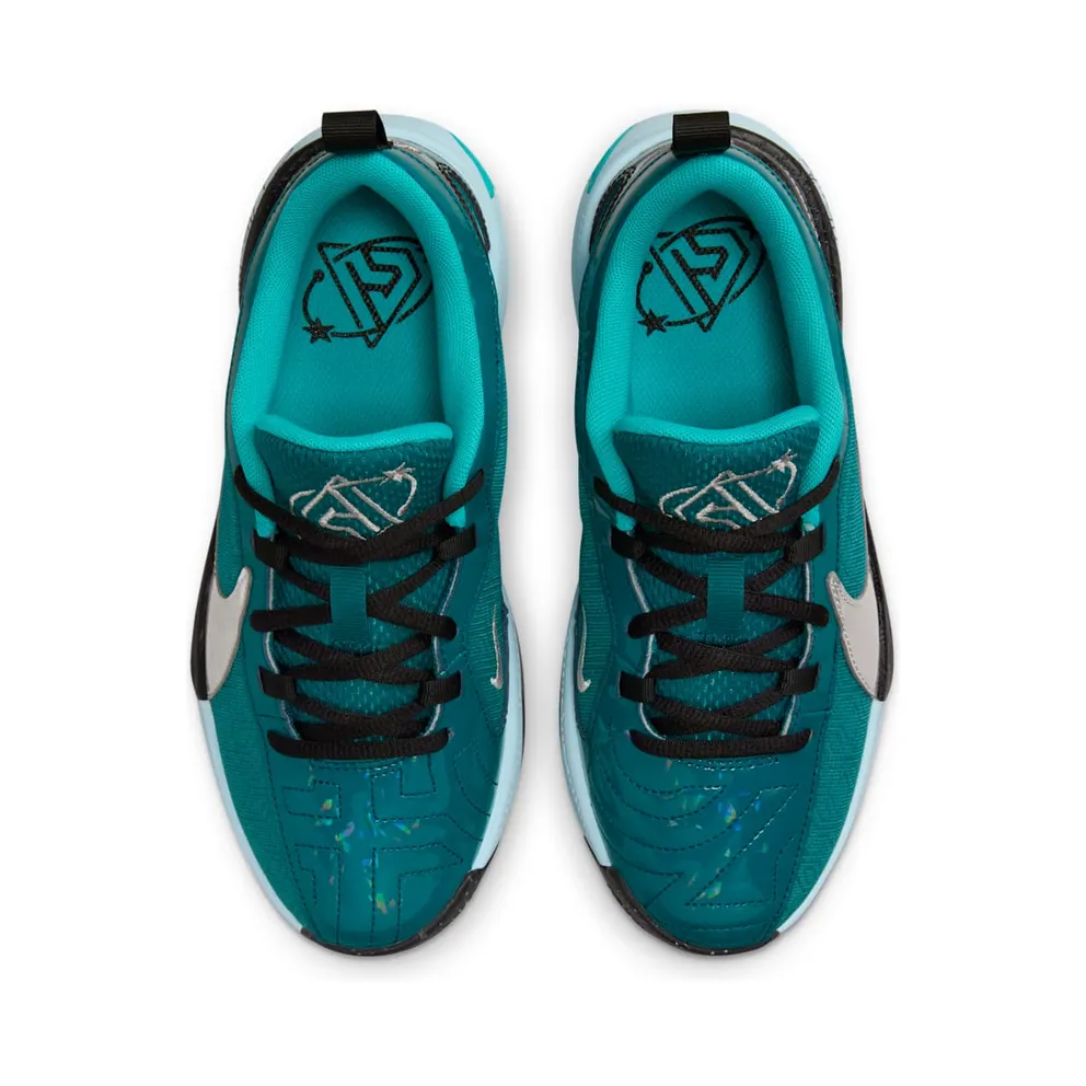 Nike Zoom Freak 5 All-Star (FN1356-300)