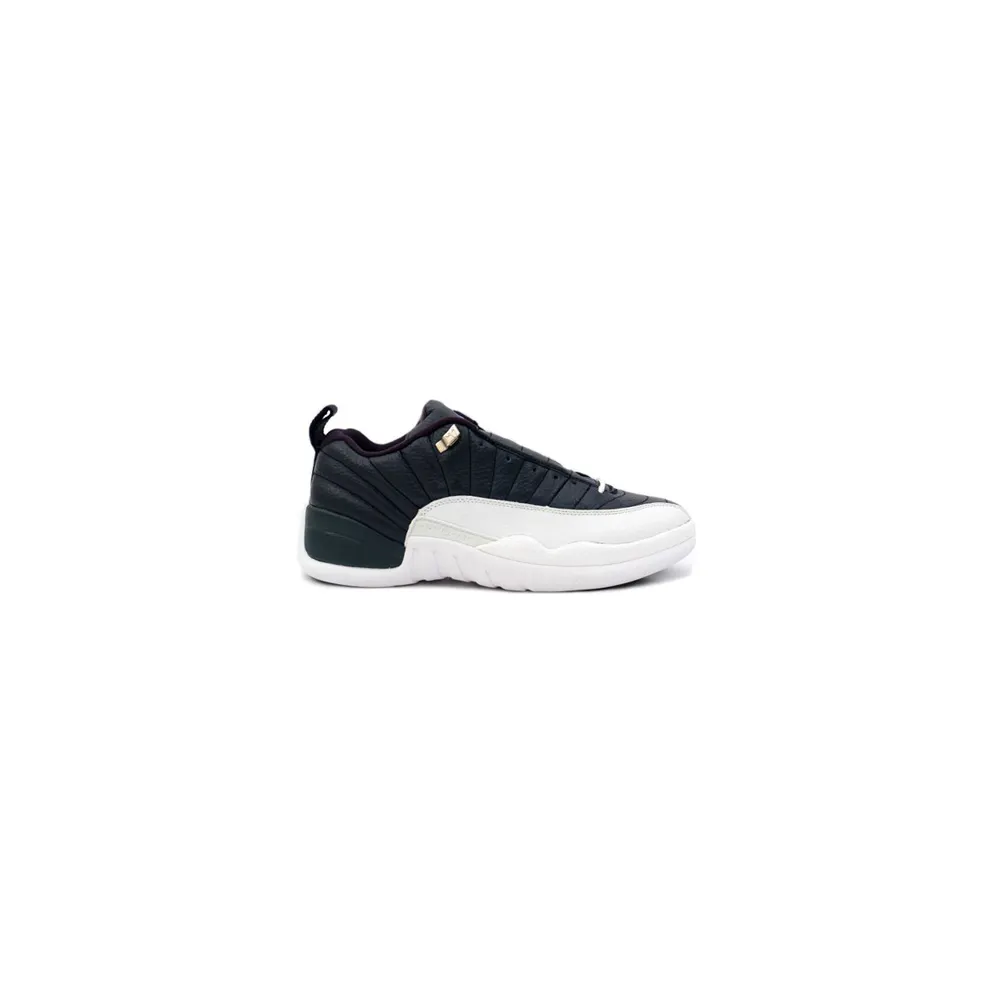 air-jordan-12 308317-441