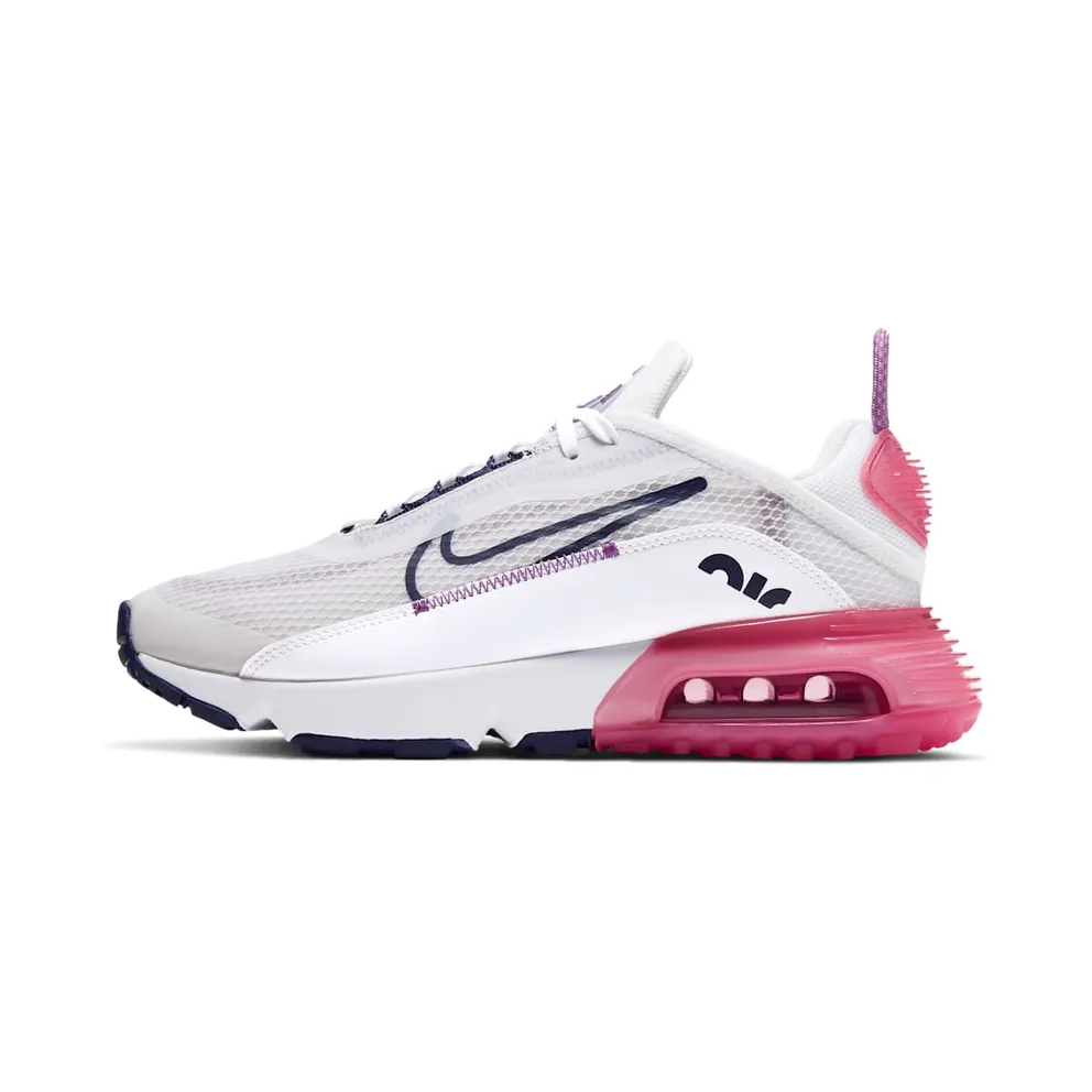 Nike Air Max 2090 Grau (CJ4066-003)