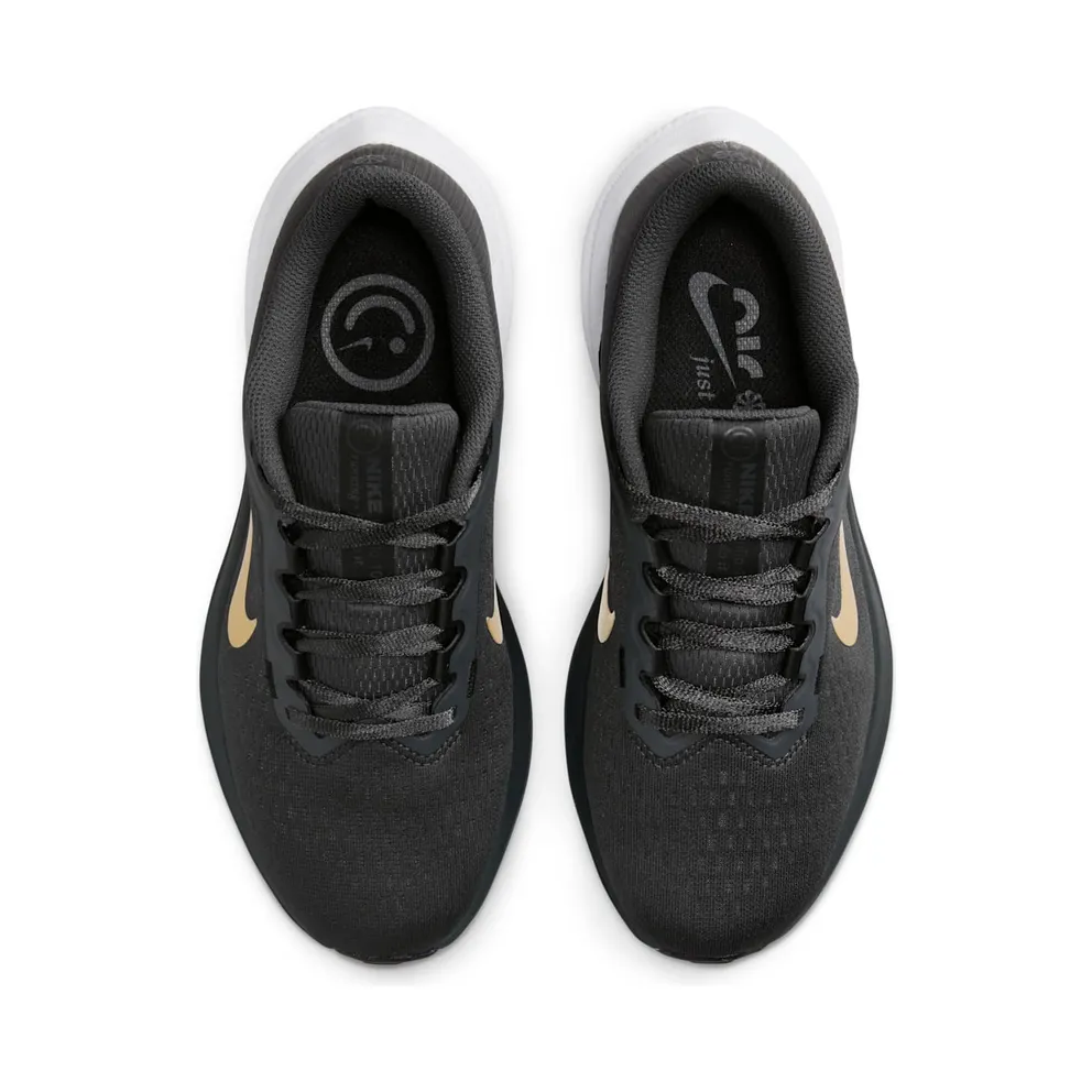 Nike Air Winflo 10 Anthracite Metallic Gold (DV4023-005)