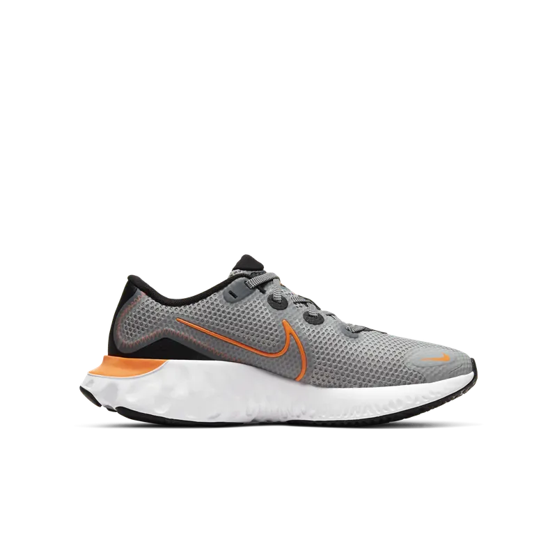 Nike Renew Run Light Smoke Grey (GS) Light Smoke Grey/Black/White (CT1430-070)