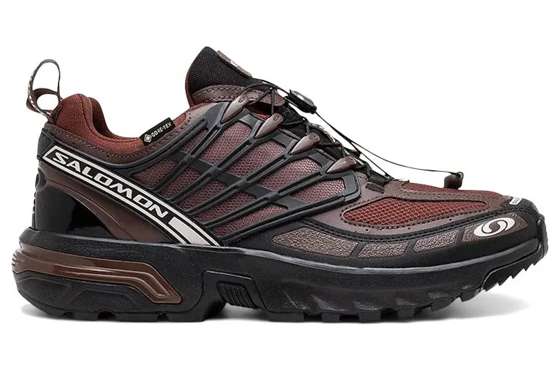 Salomon ACS Pro Gore-Tex Clay Rum Raisin (L47736400)