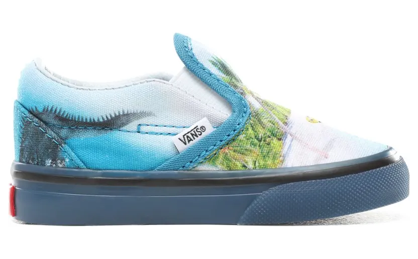 VANS Vans X Molo Slip-on Peuterschoenen (Blauw)