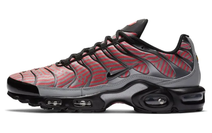 Nike Air Max Plus Grijs (CW7575-001)