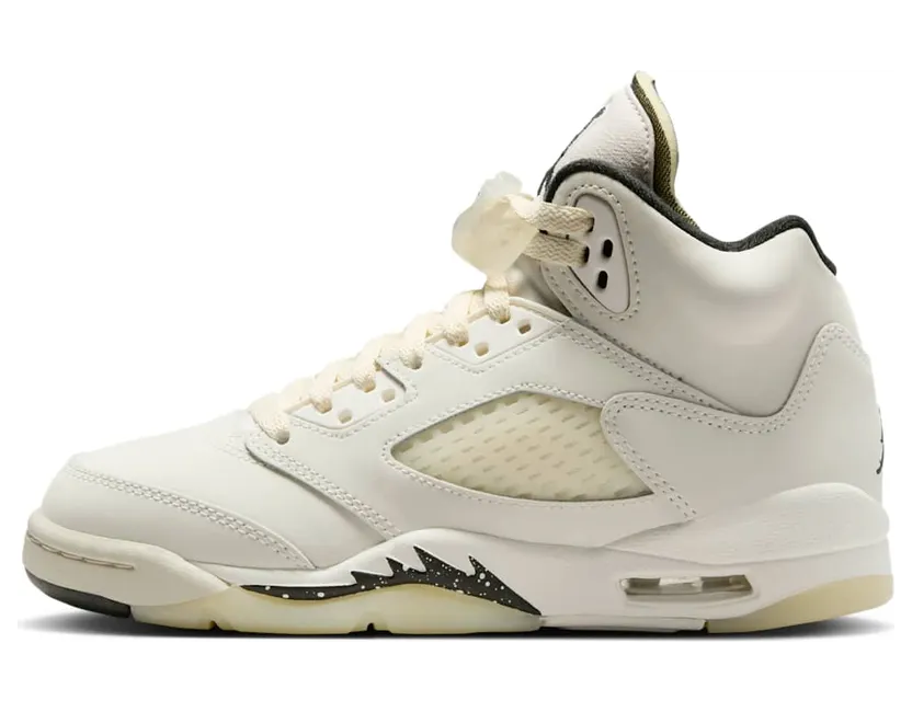 air-jordan-5 FD9220-180