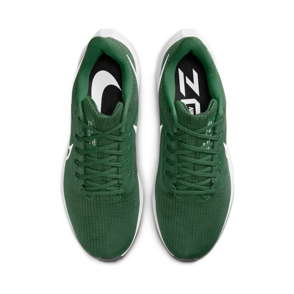 Nike Air Zoom Pegasus 39 TB “Gorge Green / Black / White” (DM0164-300)