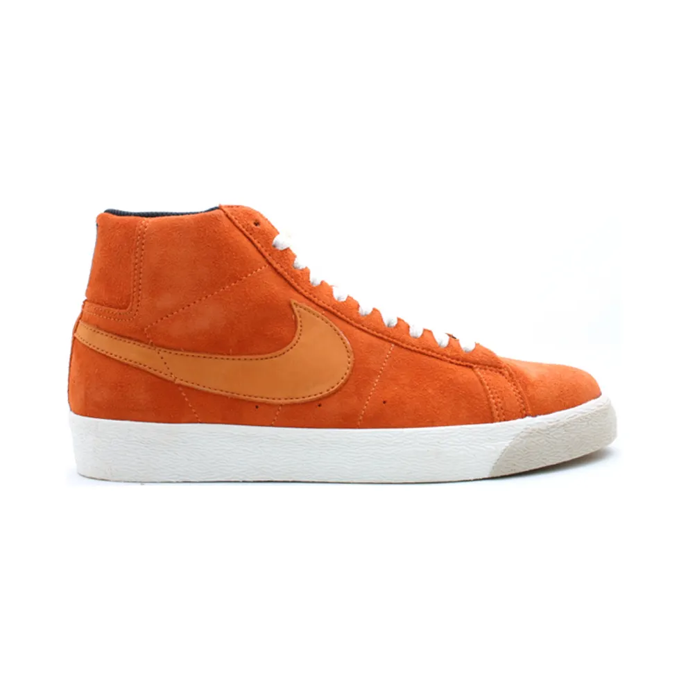 Nike SB Blazer Lance Mountain (314070-881)