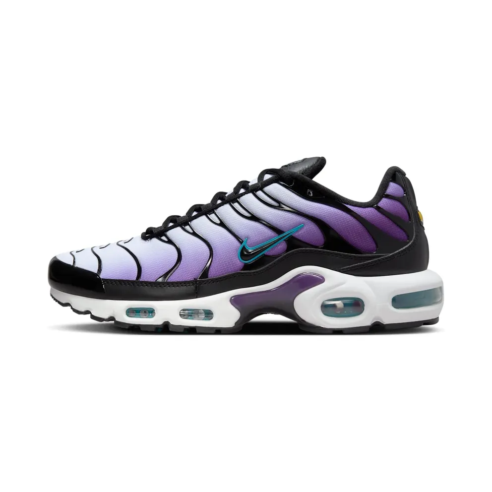 Nike Air Max Plus Reverse Grape (FQ2415-500)