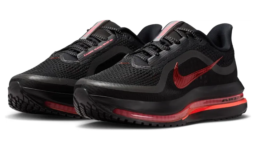 nike-air-pegasus HQ2593-010