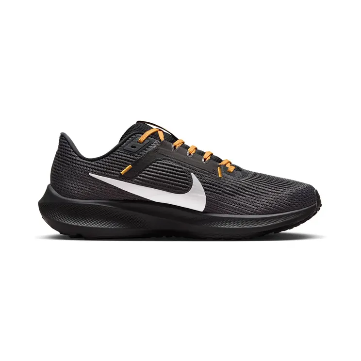 nike-air-pegasus DZ6006-001