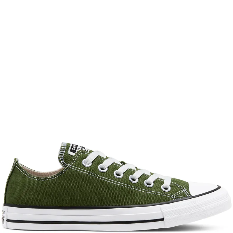 Converse Seasonal Colour Chuck Taylor All Star Low Top (166711C)