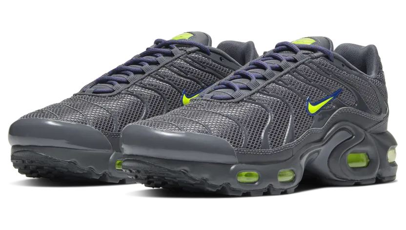Nike Air Max Plus Grijs (CU1718-002)