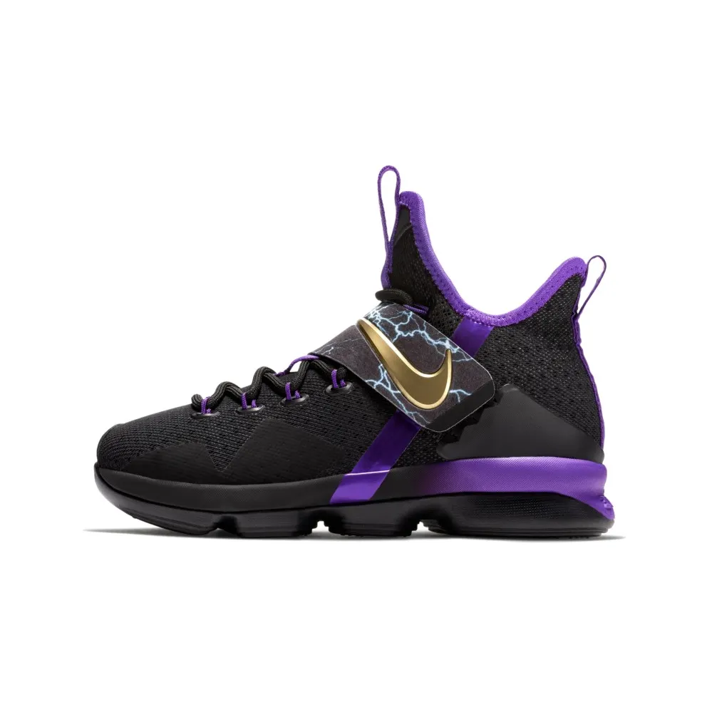 Nike LeBron 14 The Undertaker (GS) Hyper Grape/Metallic Gold-Black (AA3258-590)
