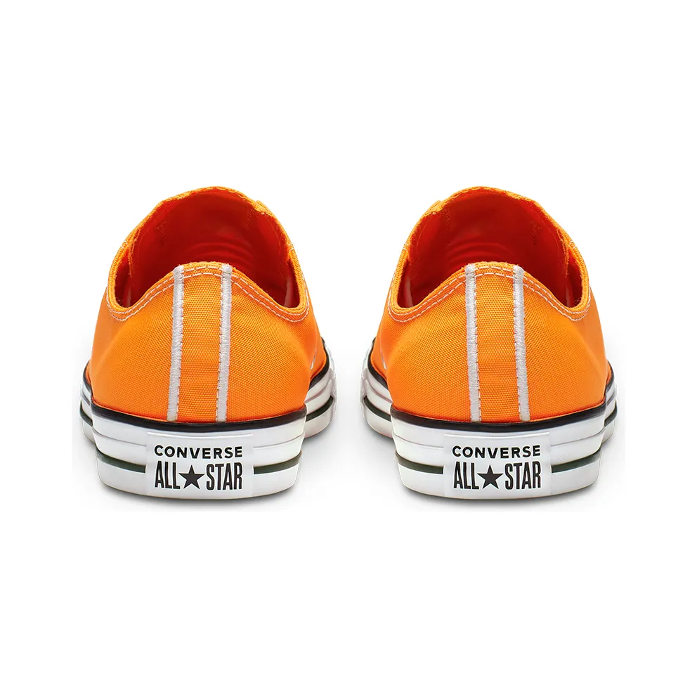 Converse Chuck Taylor All Star Summer Sport Low Top (164413C)