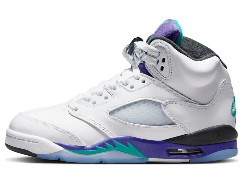Air Jordan 5 HQ7980-100