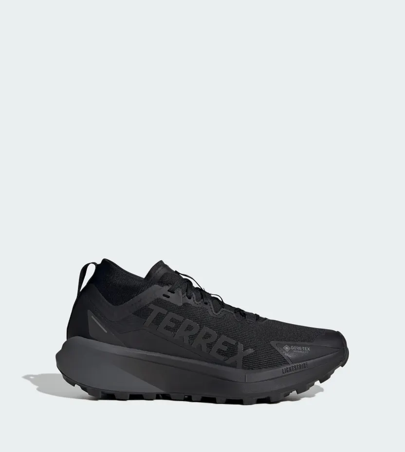 Adidas Terrex Agravic GTX Trail Running Core Black / Cloud White / Ray Blue (JR9105)