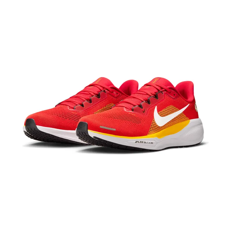 nike-air-zoom IB3209-600