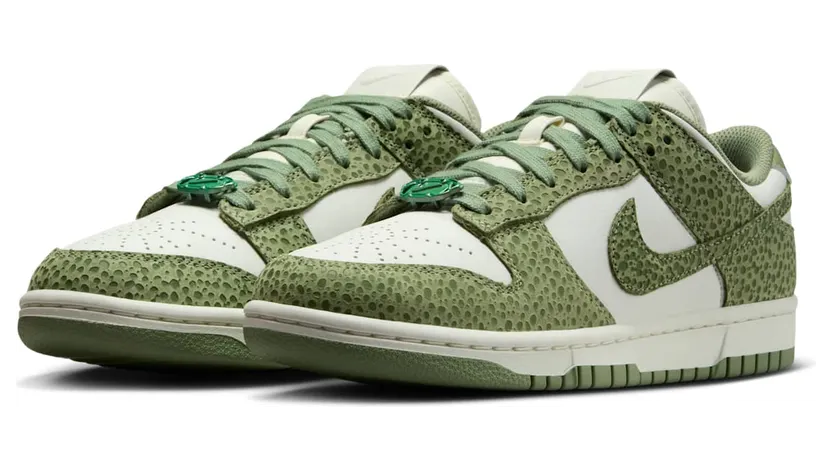 nike-dunk FV6516-300