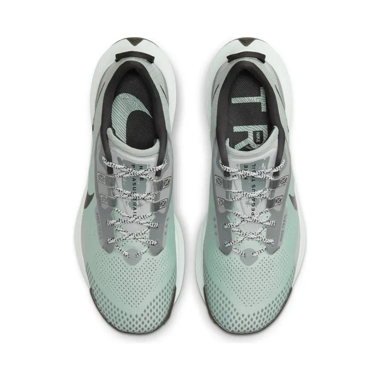 nike-air-pegasus DV3035-001