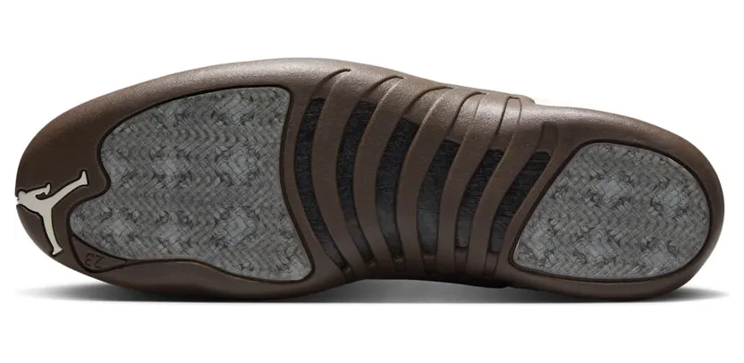 air-jordan-12 FZ5026-100